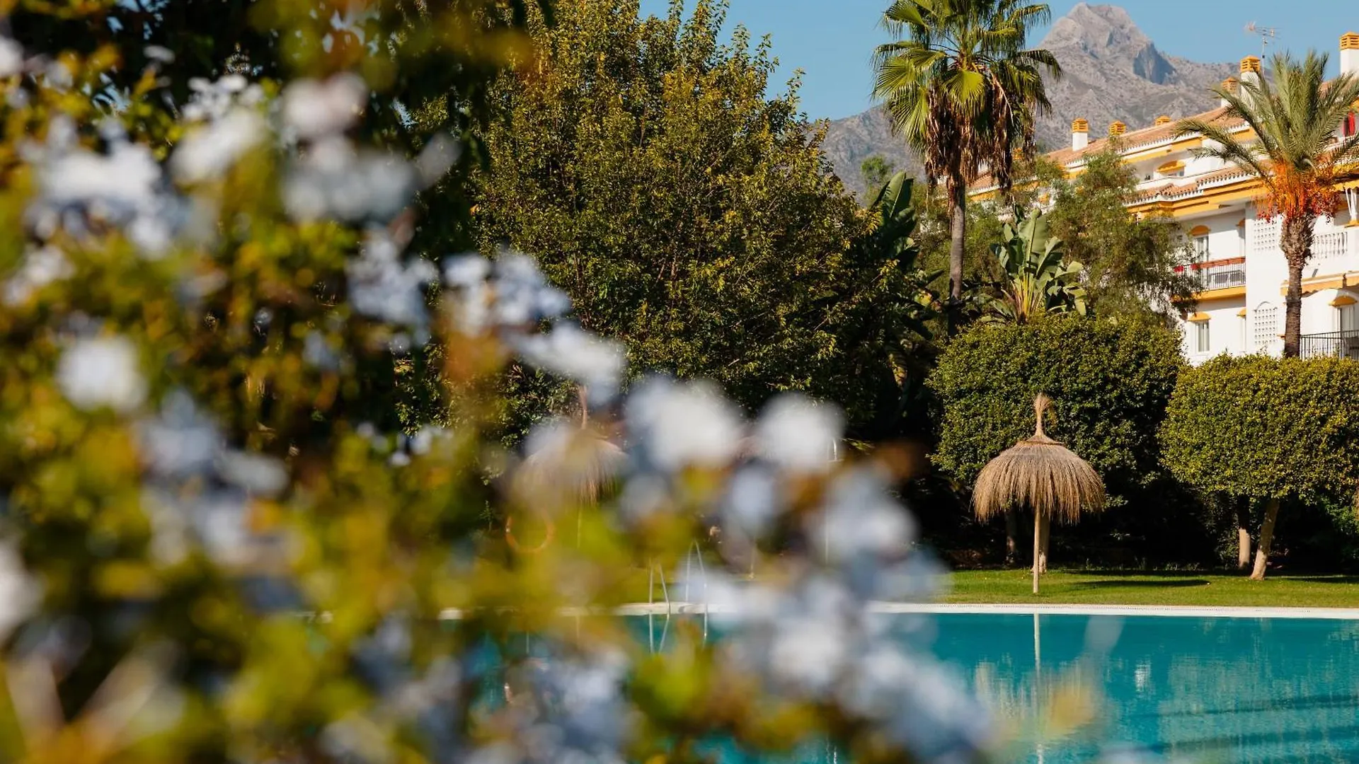 Ground Floor Holiday Apartment With Terrace And Pool In Puerto Banus, Marbella 0*,  Spain